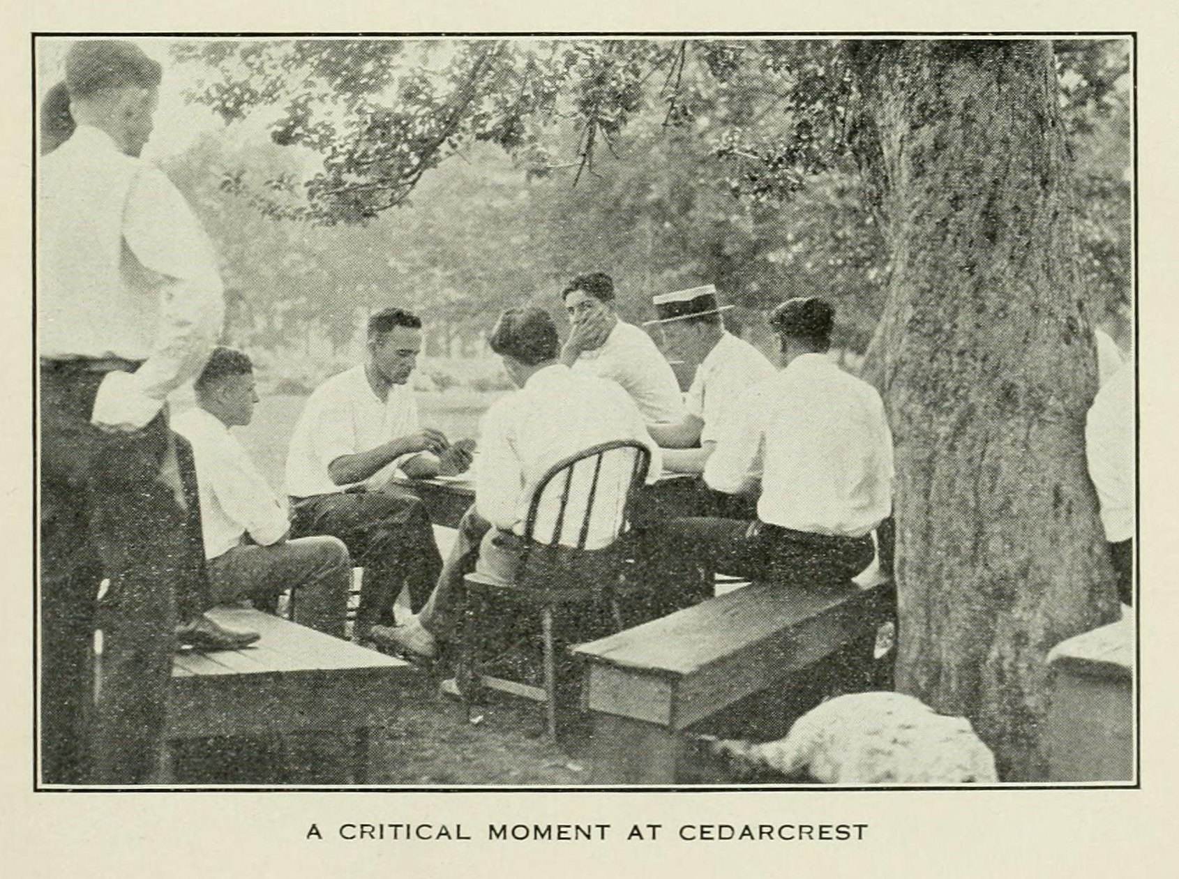 “A Critical Moment at Cedarcrest” — a table under the trees