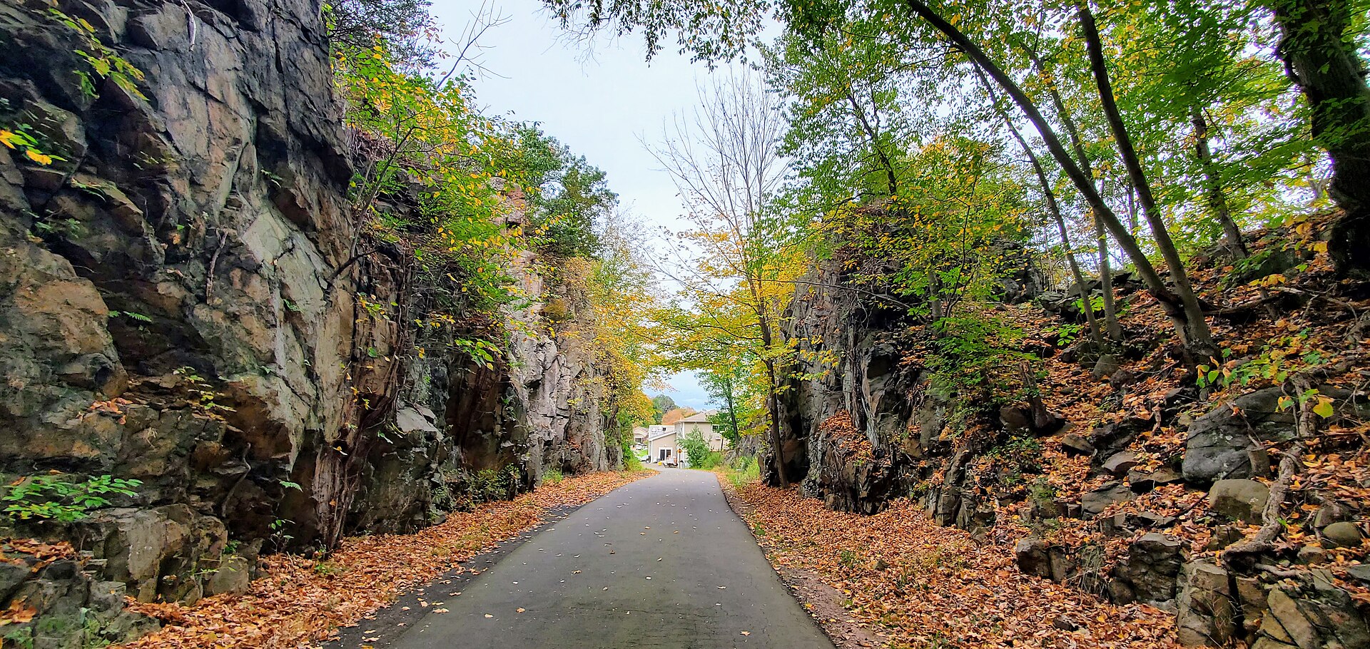 Cut through the Steps, Farmington Canal Heritage Trail, Mount Carmel, October 2023