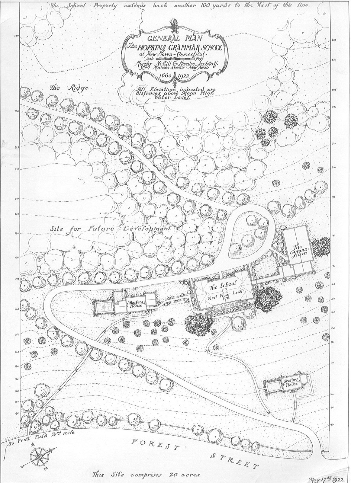 A proposed landscape above Forest Road