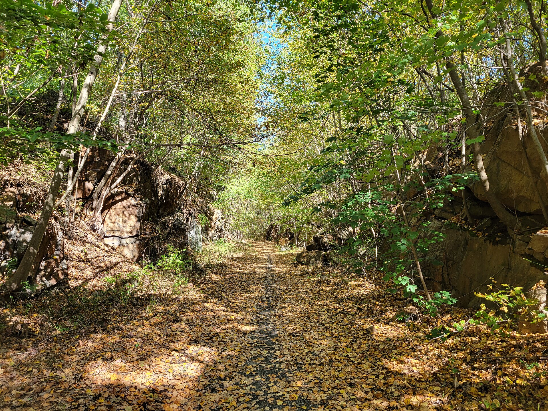 Larkin State Park Trail cut, Oxford CT