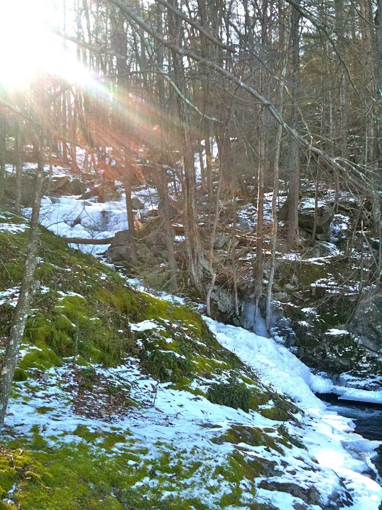 BBHTZoarTrailPryddenFalls2