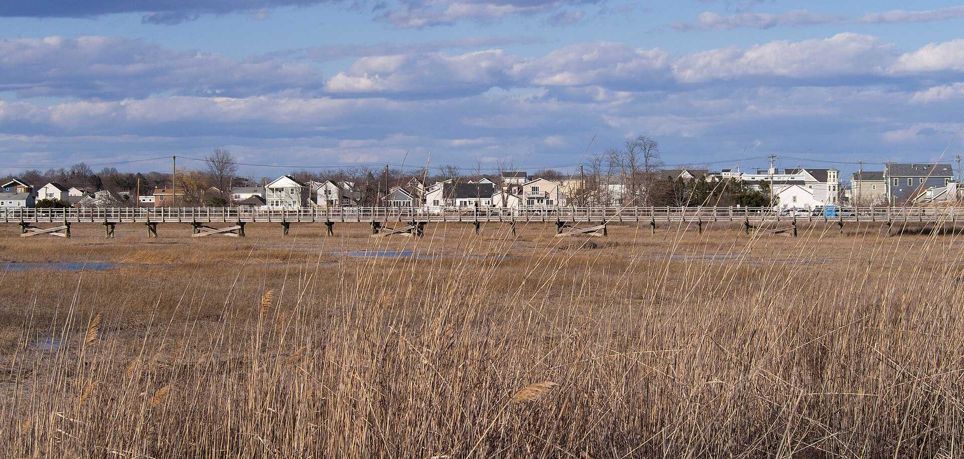 Pedestrian bridge at Silver Sands State Park (21035)