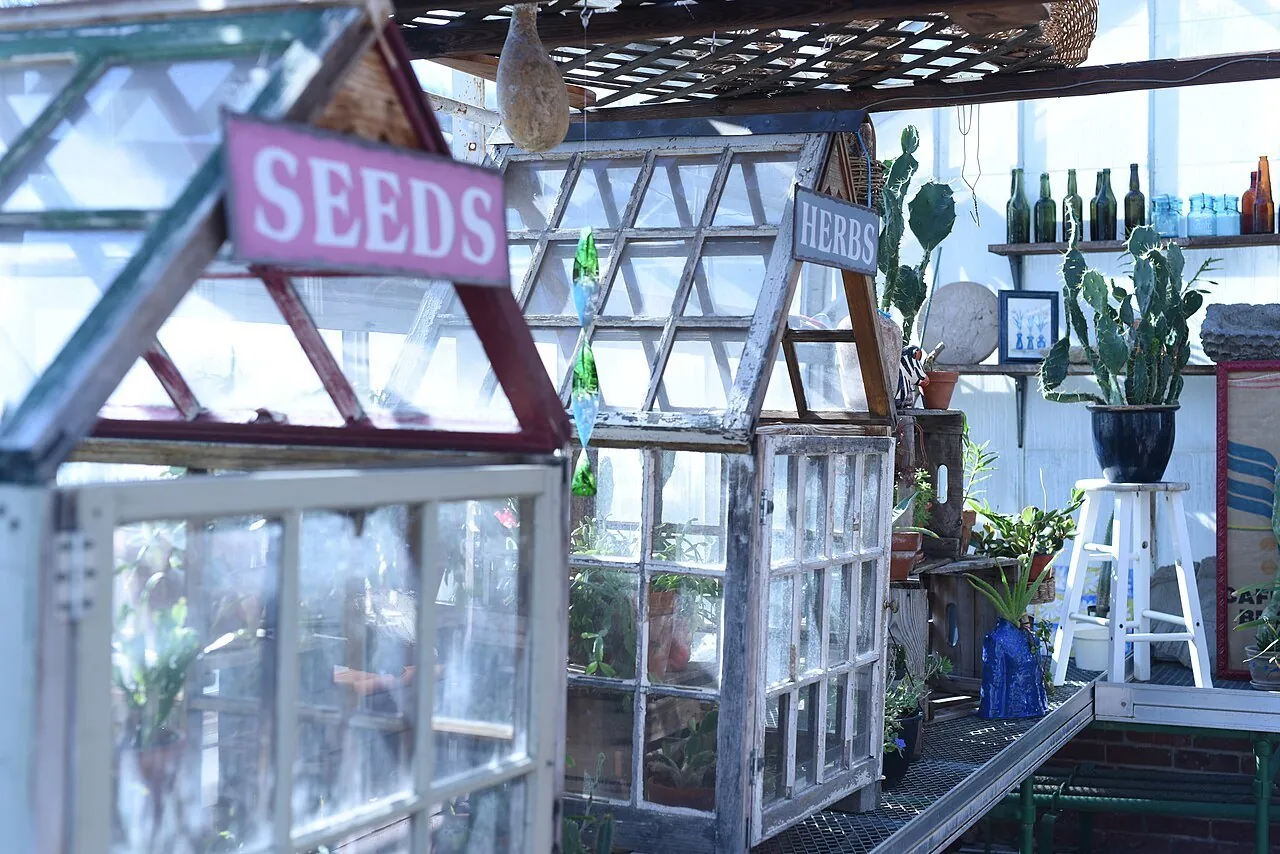 Southbury Training School greenhouse