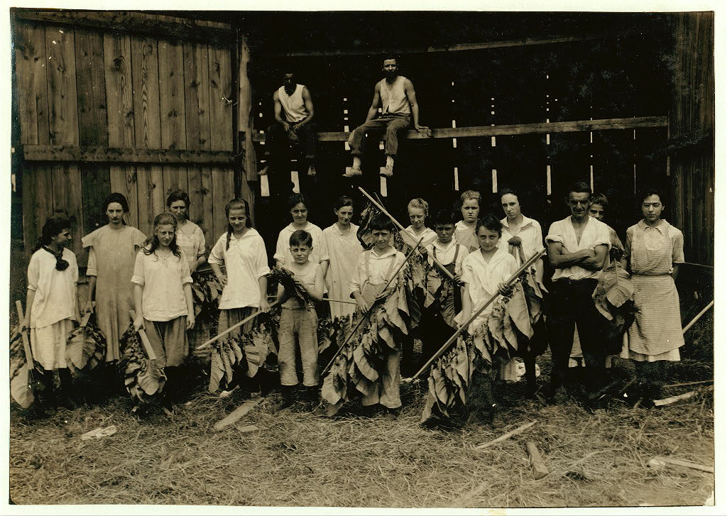 Group of shed workers at Wetstone farm, 14 of them were 12 to 14 yrs. old.  Location: Vernon, Connecticut · August 2, 1917