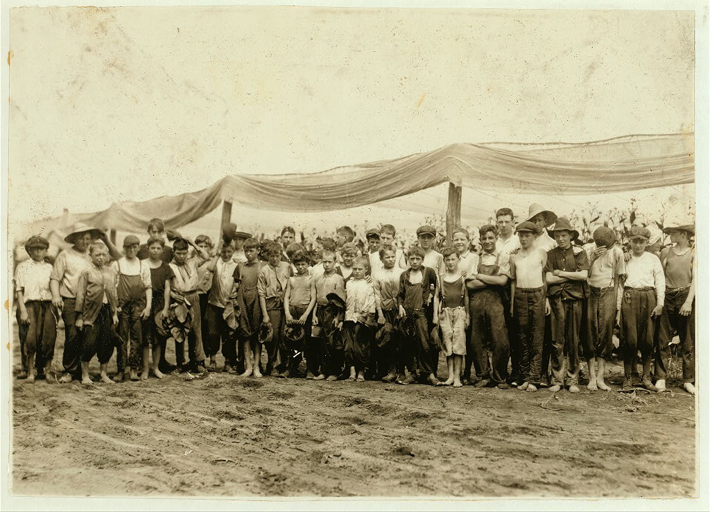 South Windsor tobacco workers, view 4