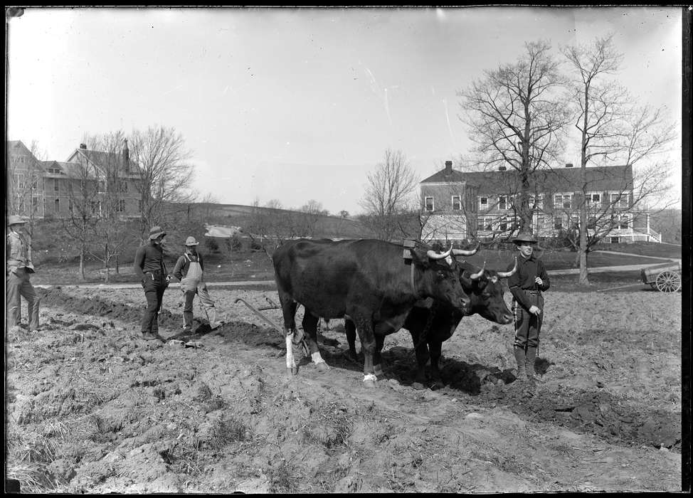 Plowing on campus