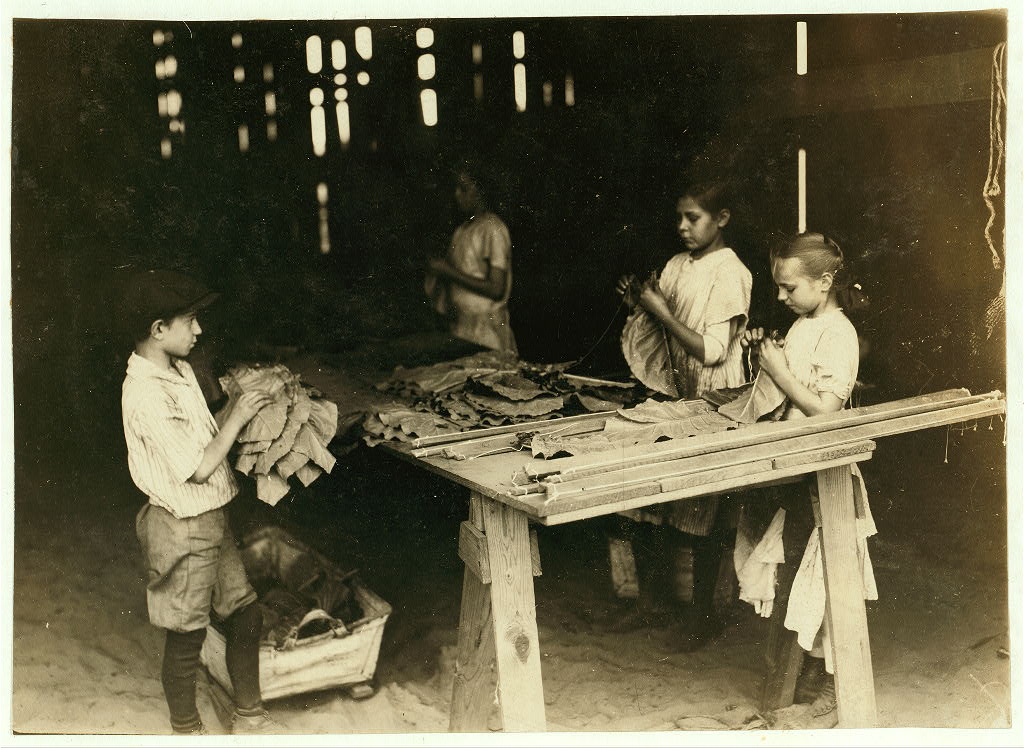 South Windsor tobacco workers, view 2